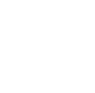 practice-icon-immigration.png